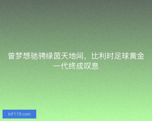 曾梦想驰骋绿茵天地间，比利时足球黄金一代终成叹息