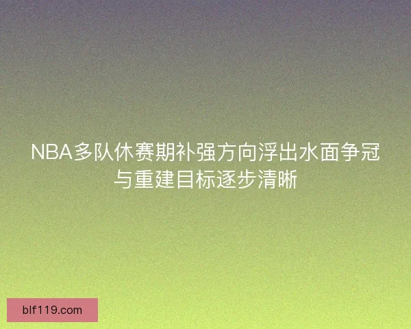 NBA多队休赛期补强方向浮出水面争冠与重建目标逐步清晰